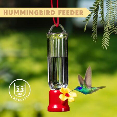 Mini Humming Bird Feeder 2.3oz
